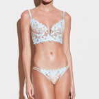 Darcy - Lace Embroidery Deep V Bra And Panty Set